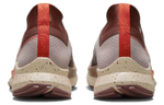 Кроссовки Nike Pegasus Trail 4 Gore-Tex (Женская размерная сетка)