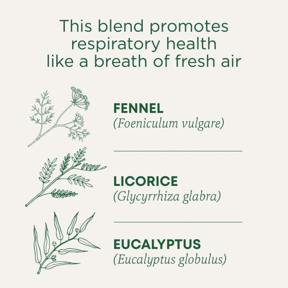 Traditional Medicinals, Breathe Easy, эвкалипт и мята, без кофеина, 16 чайных пакетиков в упаковке, 24 г (0,85 унции)