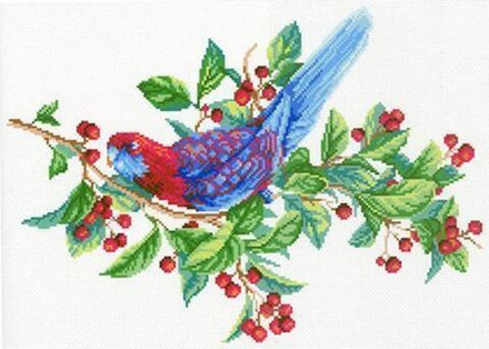 Рисунок-схема на канве для вышивания крестом "Попугай на ветке", 40 х 50 см / 30 х 40 см (Россия)