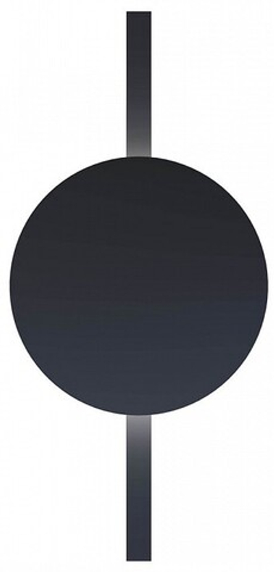 Накладной светильник Arte Lamp Rapid A1163PL-1BK