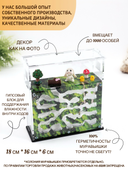 Муравьиная ферма "Мох" с муравьями в подарок