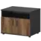 Тумба для оргтехники СМТ-2ДН Тип1  800x600x607 Смарт