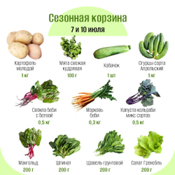Сезонная корзина