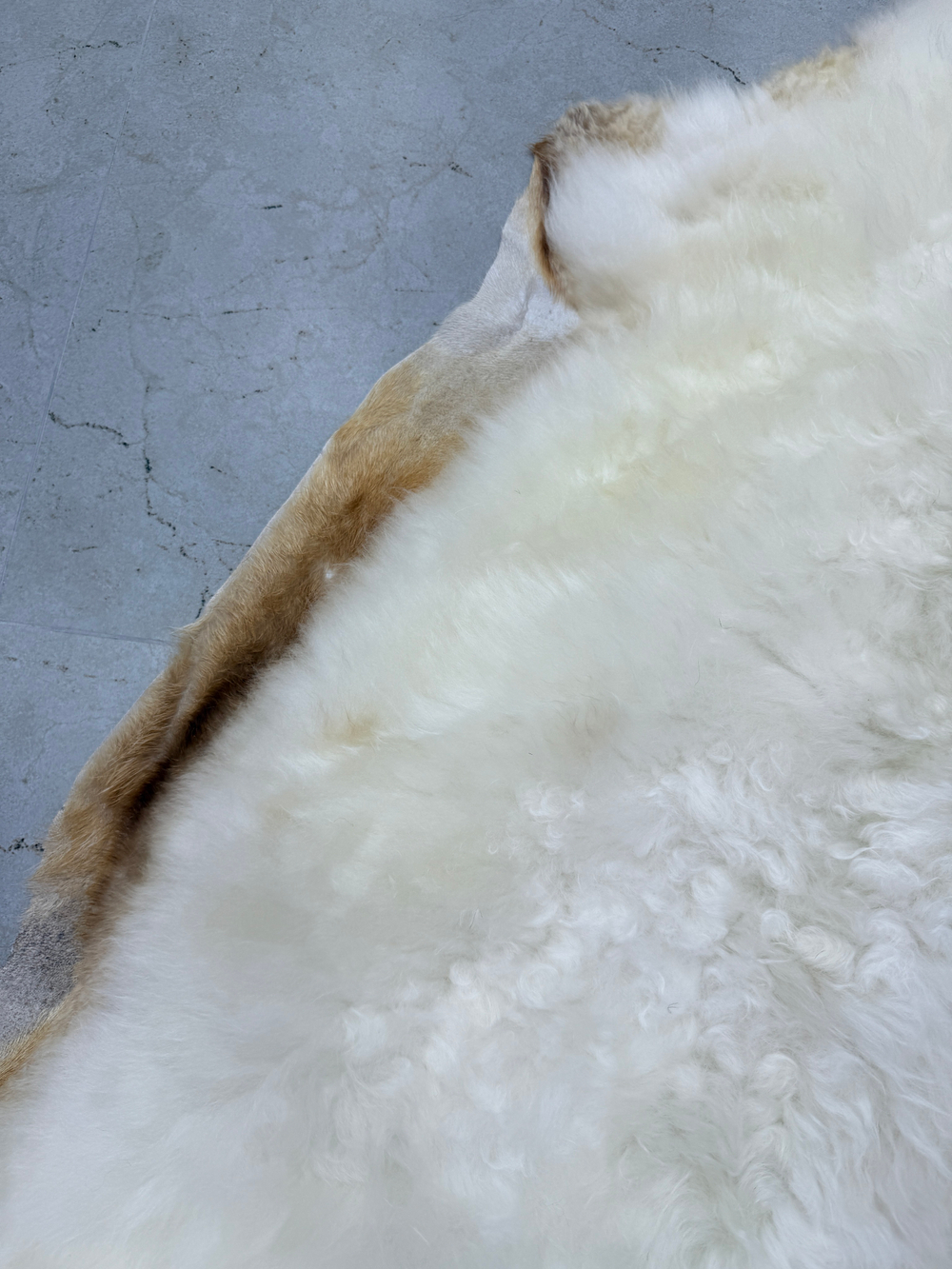 Шкура коврик меховой прикроватный овчина, 120х65 см.