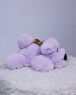 Собака Шанель маленькая (сирень)