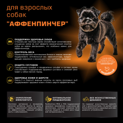 Корм сухой для взрослых собак породы Аффенпинчер, с индейкой, 800 гр, QUATTRO