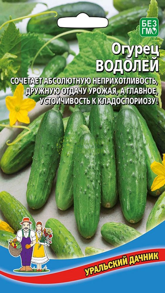 Огурец &quot;G. Водолей&quot; 12шт., Россия.
