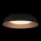Потолочный светодиодный светильник Loft IT Cappello 10229 Black