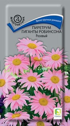 Пиретрум
