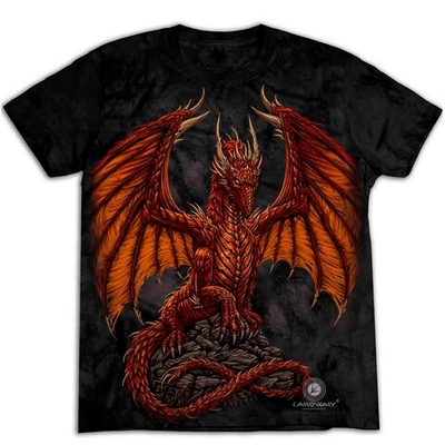 Футболка Cassowary TDT 096 Dragon