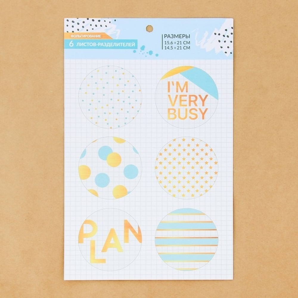 Набор ацетатных разделителей для планера «Мята», 6 листов, 16 × 21 см