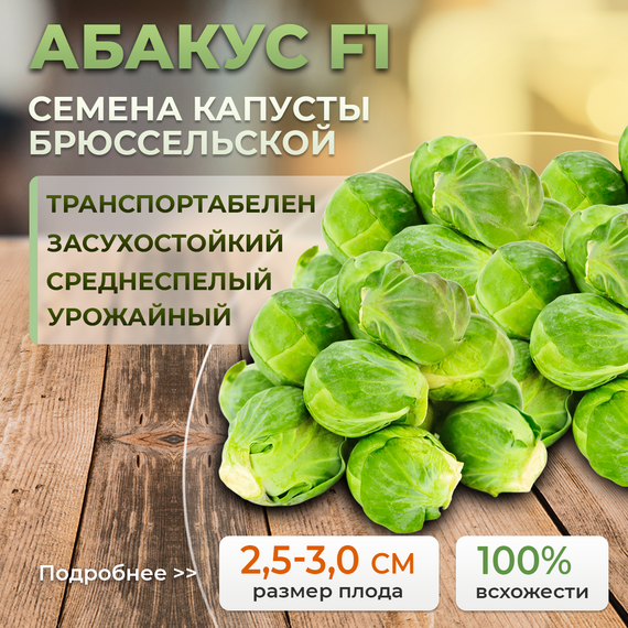 АБАКУС F1  семена капусты брюссельской  (Syngenta | Alexagro)