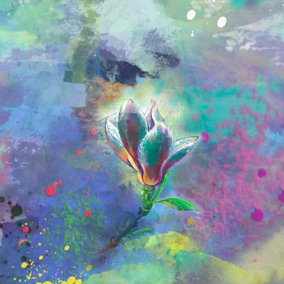 магнолия на фоне