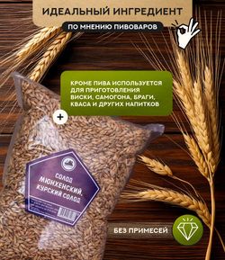 "СОЛОД МЮНХЕНСКИЙ-2", Курский солод