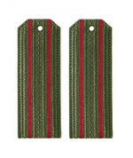 Погоны оливковые два краповых просвета (пластик)