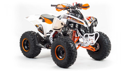 Квадроцикл MOTOLAND 125 RAPTOR