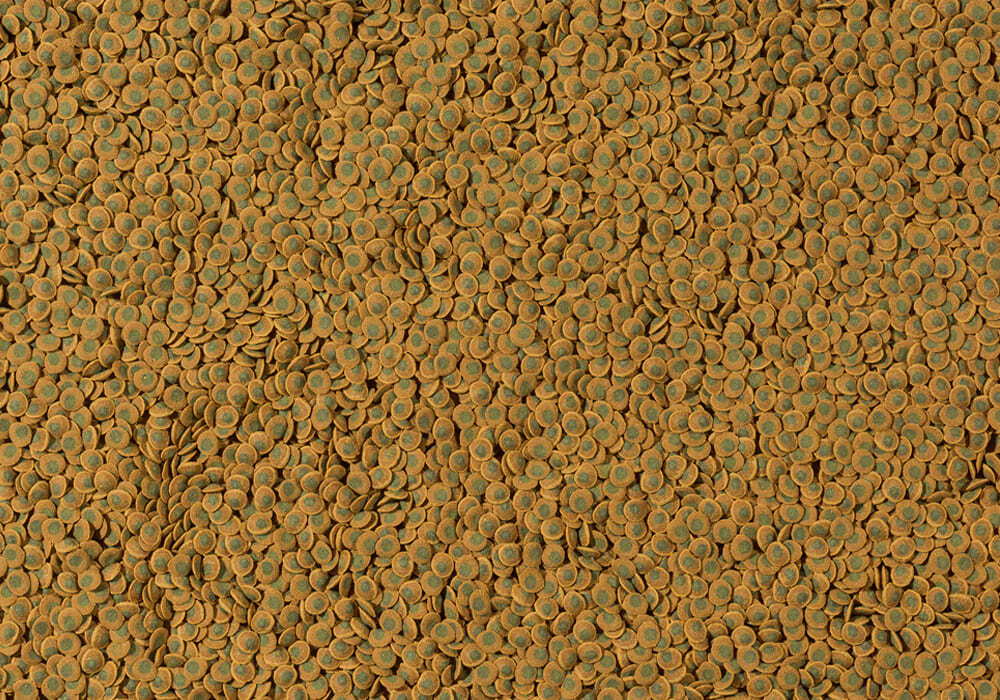 Корм весовой Pleco Veggie Wafers