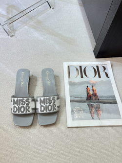 Christian Dior Dway Slide (11 colors)