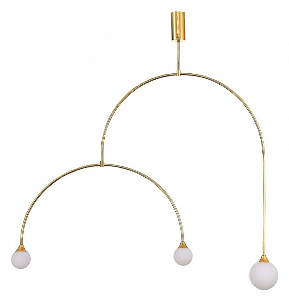 Светильник на штанге ST-Luce SL1187.203.03