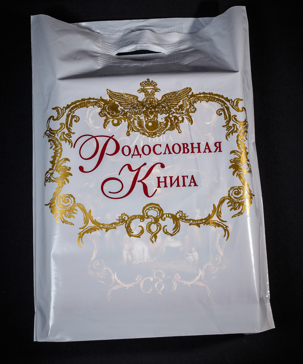 Родословная книга «Праздничная» зеленая