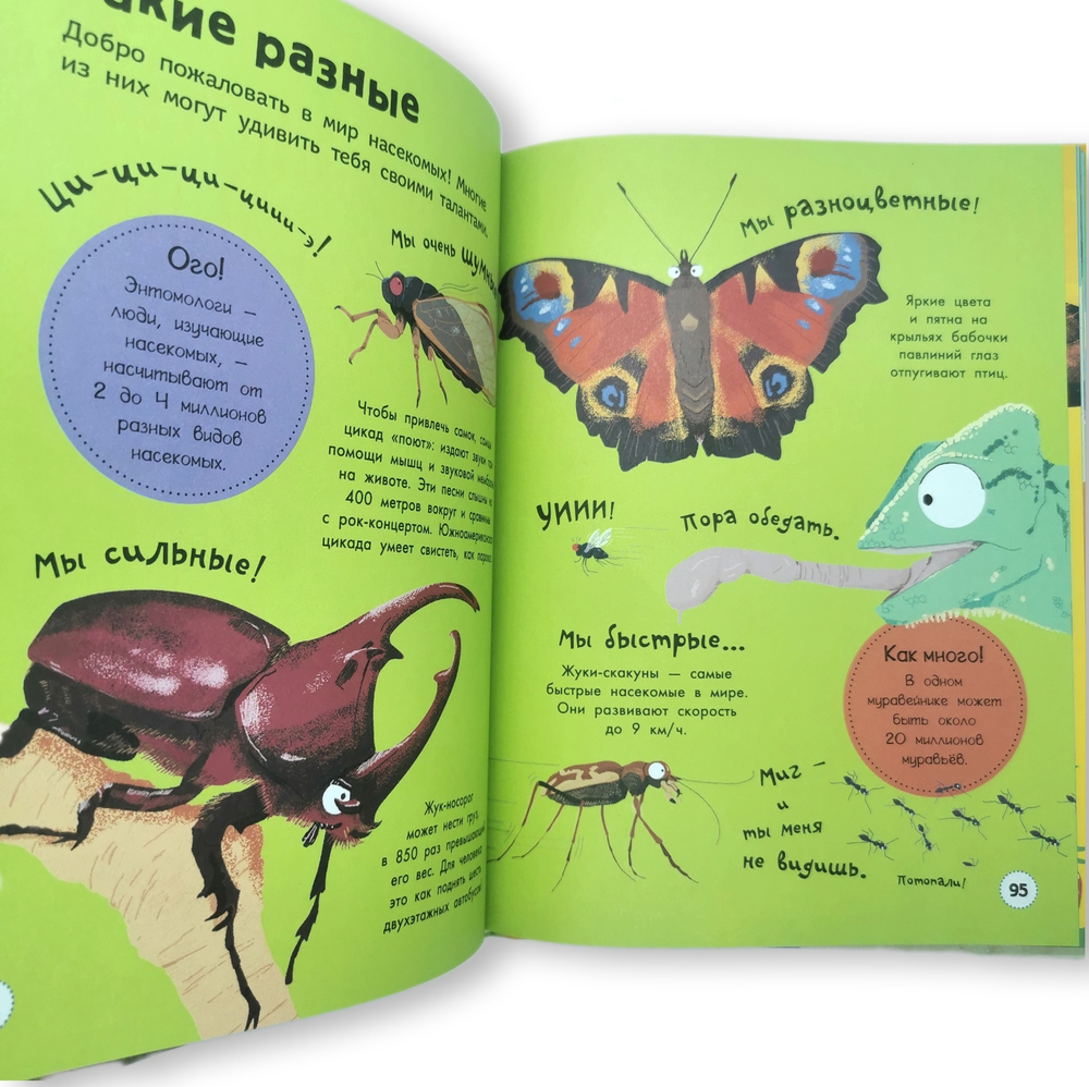 Моя большая книга обо всём на свете