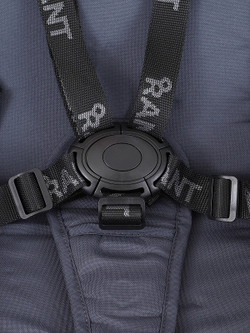 Детская коляска Rant Basic Energy 2 в 1 Graphite