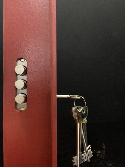 Антивандальная защитная дверка на силомер Rocky Boxer