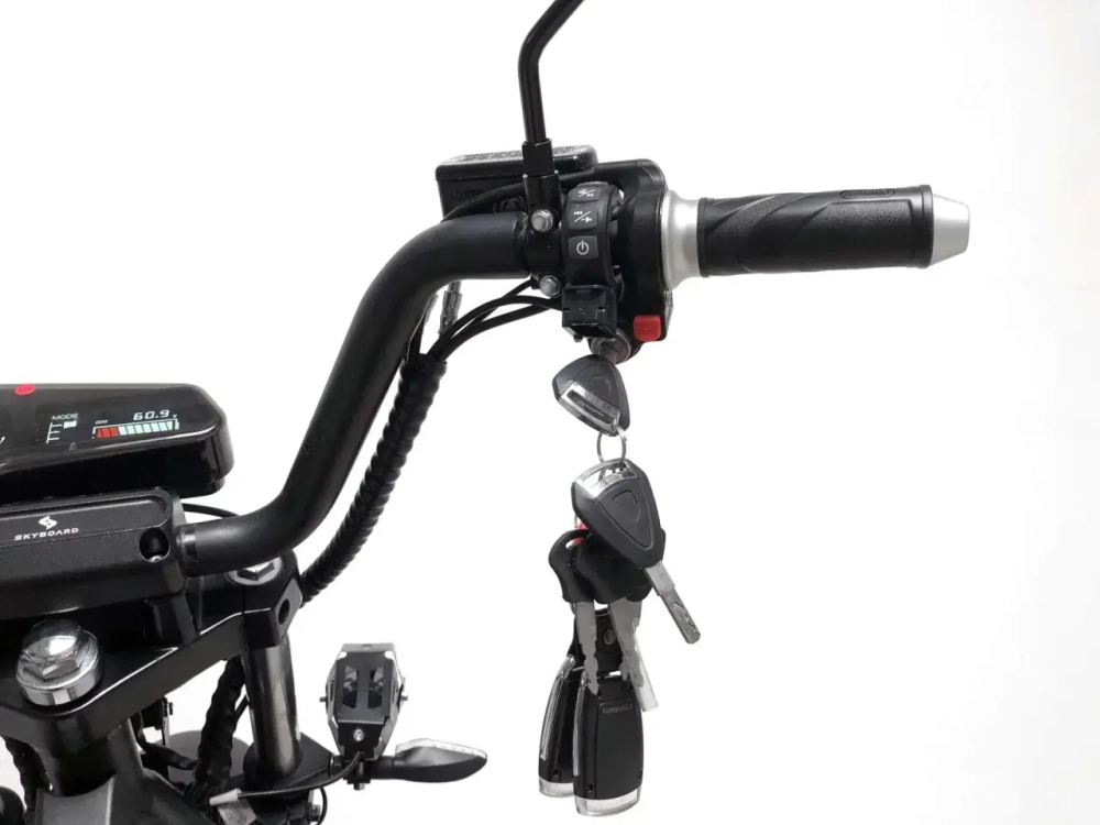 Электроскутер SKYBOARD BR100-5000 (Amur)
