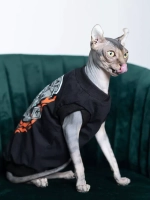 Одежда для кошек сфинкс