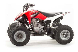Квадроцикл MOTOLAND 250S