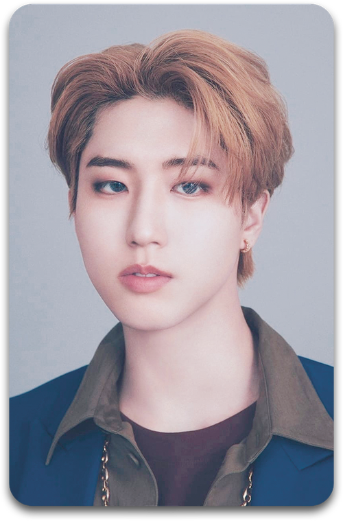 Карта / STRAY KIDS #3196