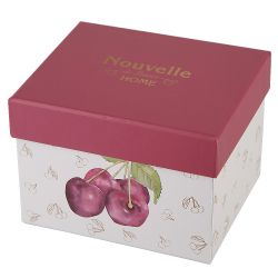 Кружка "Фруктовый сад.Вишня" v=350мл (фарфор) (подарочная упаковка)