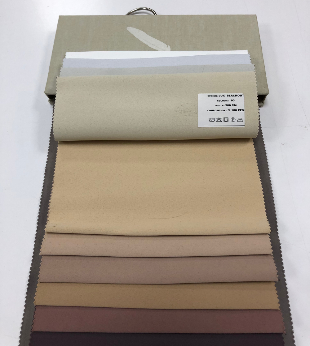 Римская штора Aisa арт. Lux blackout col. 03 с декоративным бордюром Nope Pampas-007 и карнизом