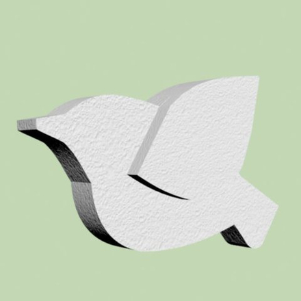 7 Птица   с крылом