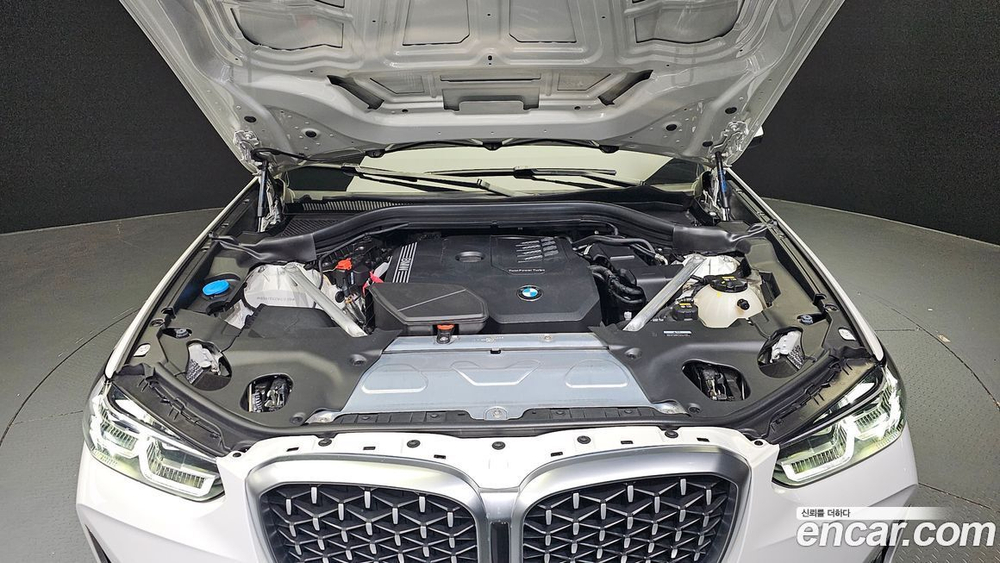 BMW X4 (G02) xDrive20i xLine (03.2022)