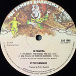 Peter Hammill ‎– In Camera (Англия 1974г.)