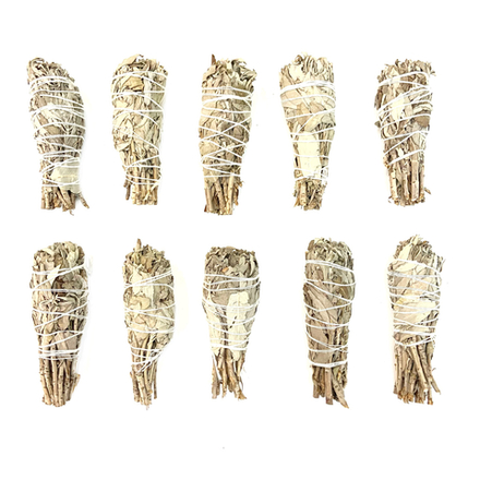 Факел белый шалфей калифорнийский,  10 шт.