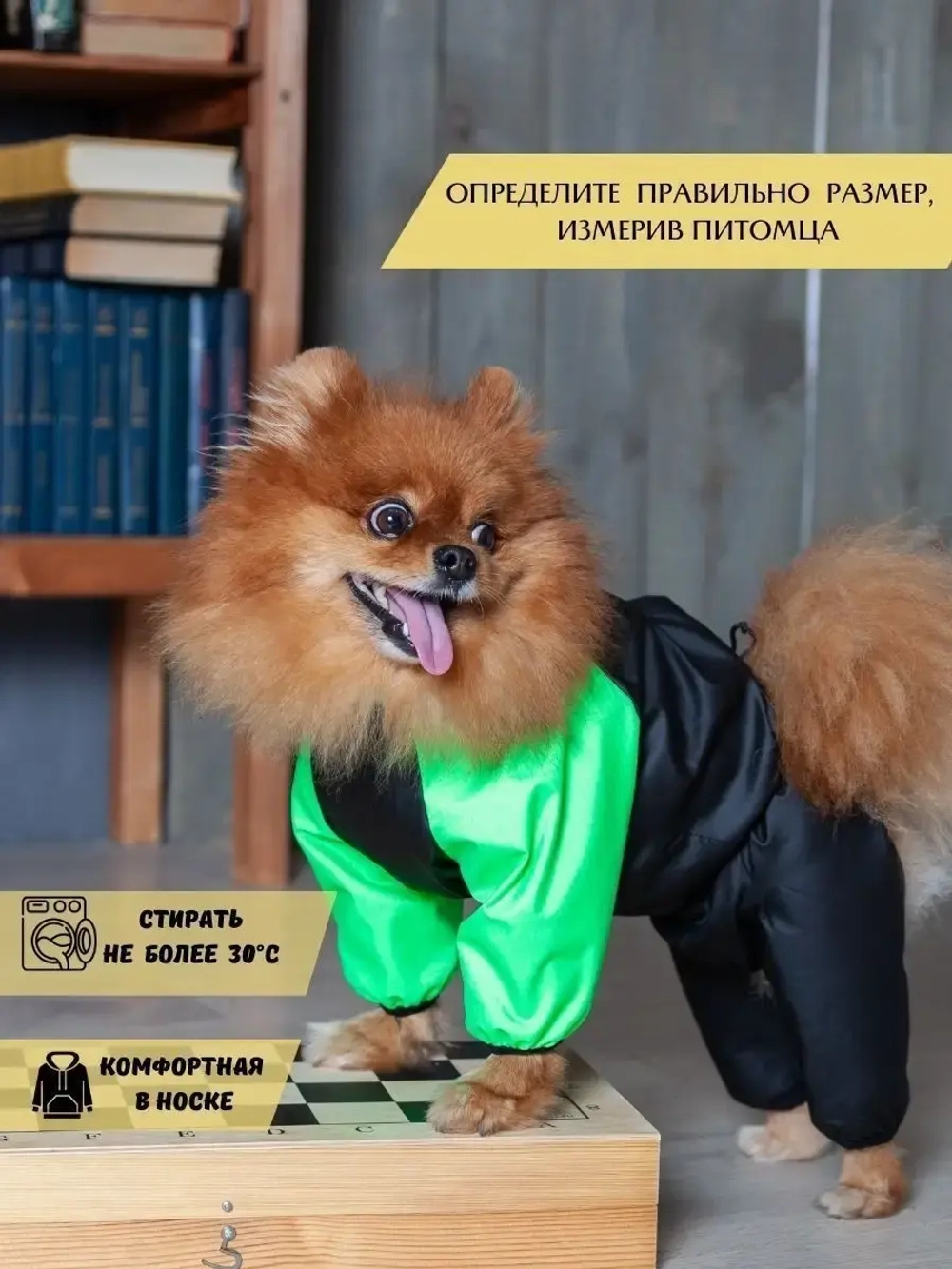 Комбинезон для мелких и средних собак