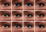 Alcon - FreshLook ColorBlends