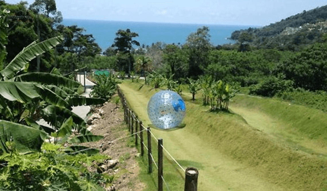 Где купить зорб для бизнеса?