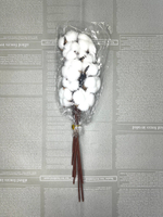 Хлопок сухоцвет