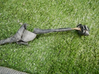 DSCN5409.jpg