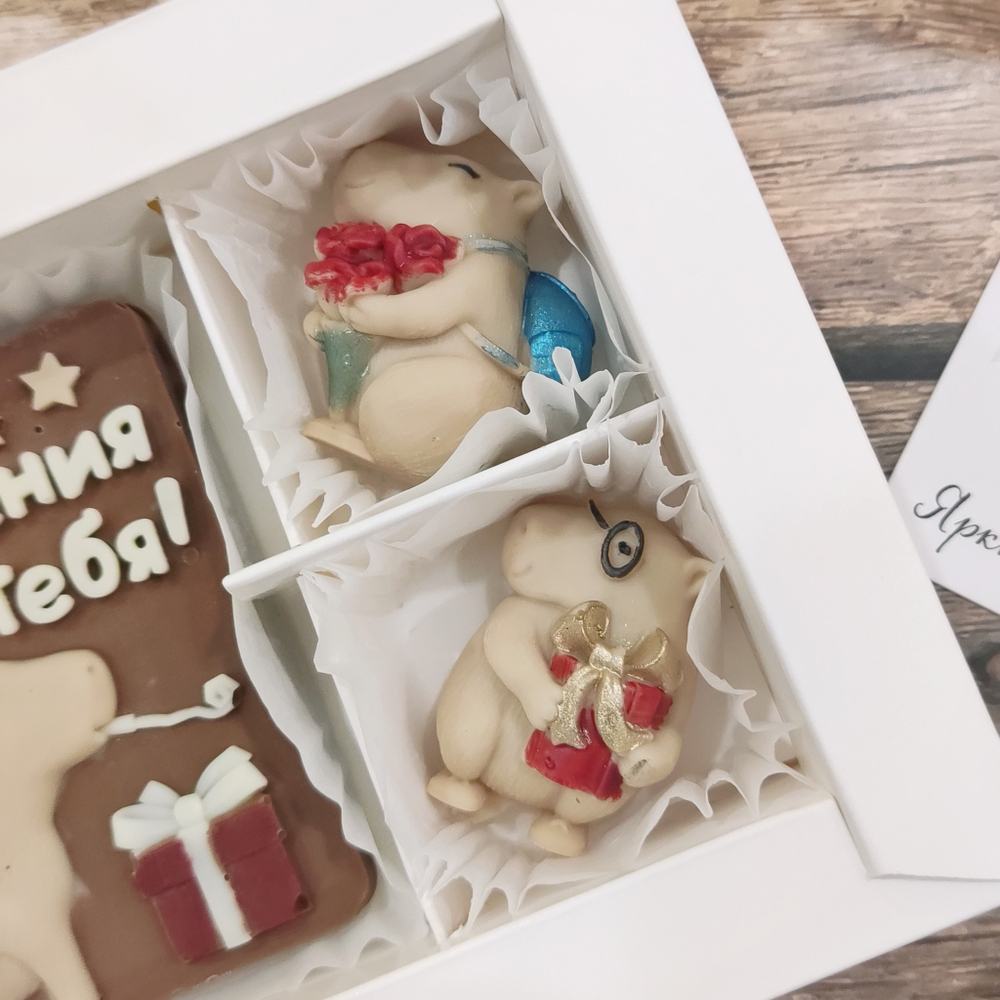 Набор "С днём рождения" с капибарами #1