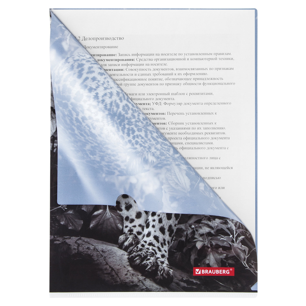 Папка-уголок BRAUBERG "LEOPARD" А4 150 мкм цветная печать (12 штук в упаковке)