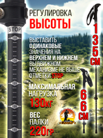 Палки для трекинга, скандинавский ходьбы/ телескопические Carbon pole EVA grip /2 шт, цвет черный