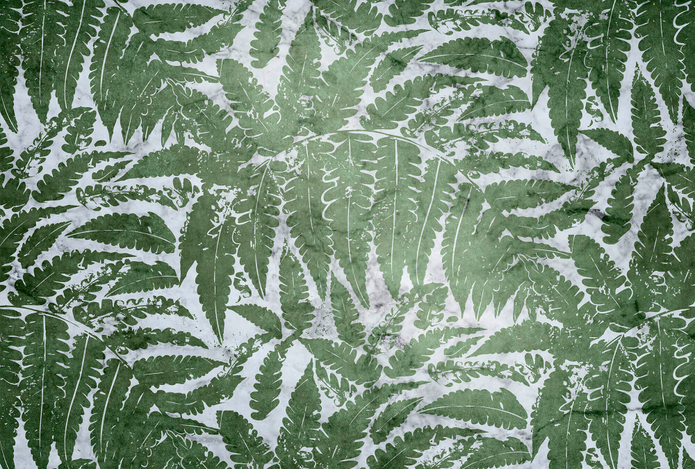 Коллекция SELVA