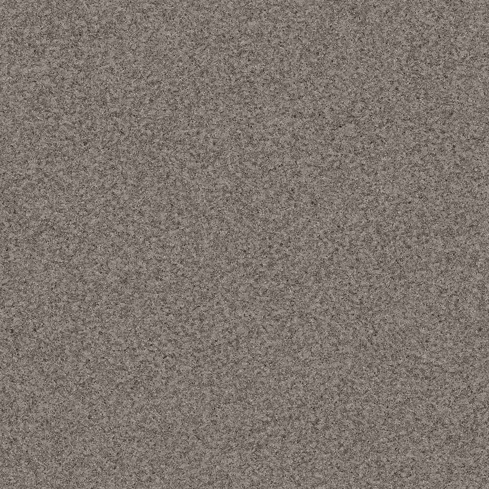 Линолеум коммерческий Profi Premium Nevada 2, 3х22м (рулон)