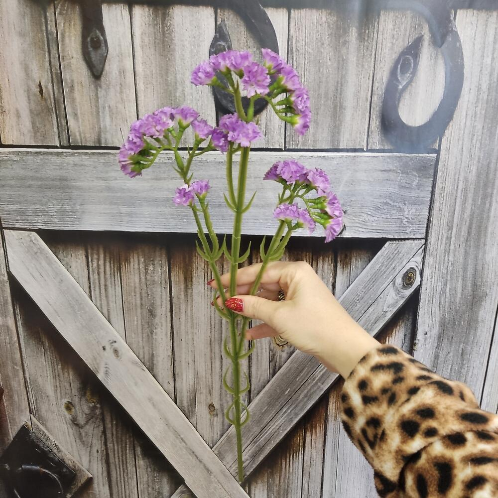 Статица искусственная фиолетовая