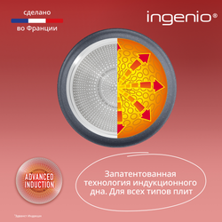 Набор посуды со съемной ручкой Tefal Ingenio Natural Force 3 предмета 22/26 см L3969202