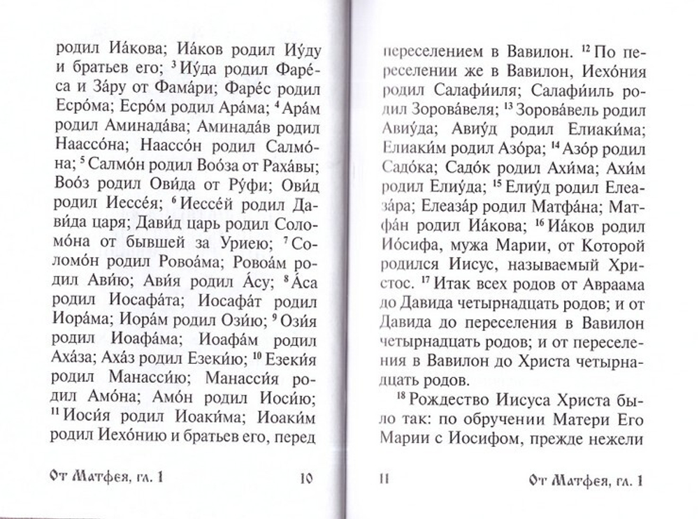Святое Евангелие Господа Нашего Иисуса Христа (карманный формат)
